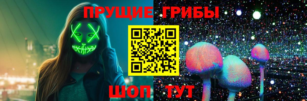 Красноармейск  Псилоцибиновые грибы Psilocybine cubensis  Вход с VPN 